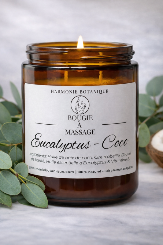 Eucalyptus - Coco