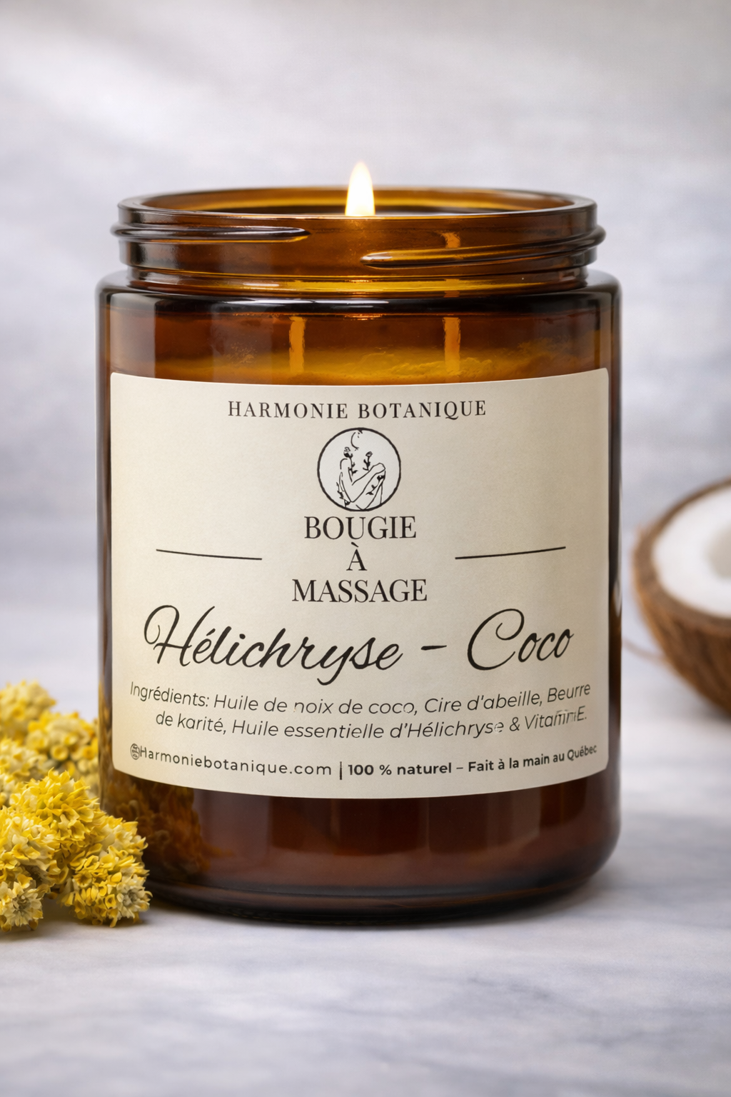 Hélichryse - Coco